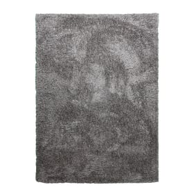 Tapis shaggy - Blaze Gris - sfeer