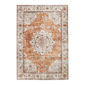 Tapis d'extérieur vintage - Santo Medallion terra - sfeer