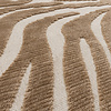 Tapis lavable - Dunya Zebra Beige/Blanc - thumbnail 3