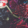 Tapis rond à fleurs - Florine Noir/Rose - thumbnail 3