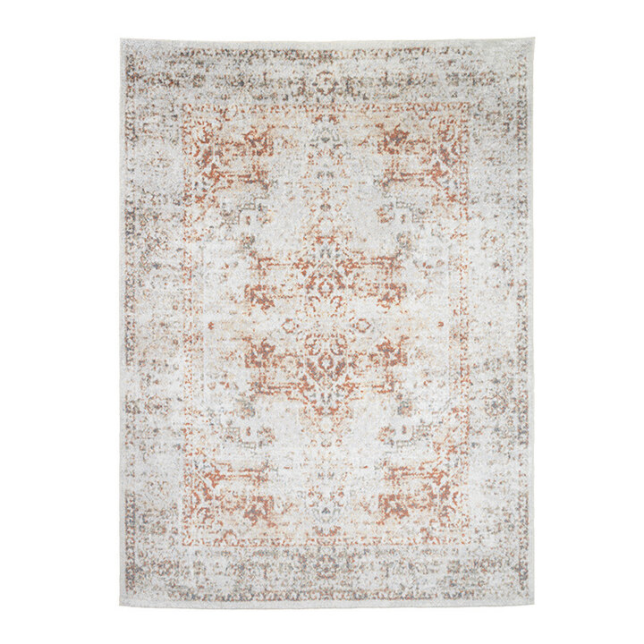 Tapis lavable - Nova Medaillon Gris Clair - 1