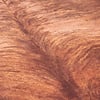 Tapis Peau de vache - Bovine Marron - thumbnail 3