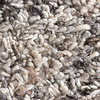 Tapis en laine à poils longs - Royal Gris Clair Mélangé - thumbnail 6